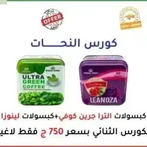 كورس النحات_ الكورس الثنائى
